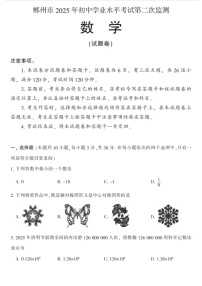 郴州2025年初中学业水平考试第二次监测-数学含答案