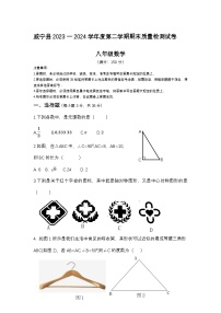 贵州省毕节市威宁县2023—2024学年下学期八年级数学期末质量监测试卷+