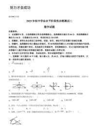 2025年济南市莱芜区初三数学中考三模试题及其答案解析