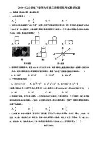 2025年河南省郑州市郑州外国语中学三模数学试卷（中考模拟）