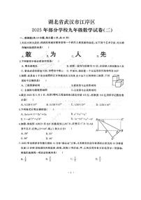 2025年湖北省武汉市江岸区部分学校中考模拟（二）数学试卷