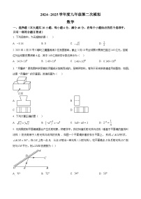 2025年安徽省淮南市谢家集区九年级数学中考二模数学试题