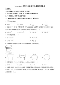 2025年安徽省芜湖市第二十九中学九年级中考三模数学试题