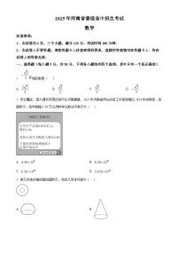 2025年河南省驻马店市平舆县平玉二中、一中中考三模数学试题