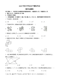2025年新疆维吾尔自治区喀什地区九年级中考三模数学试题