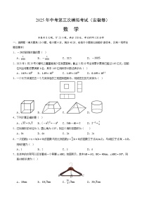 2025年中考数学第三次模拟考试卷：数学（安徽卷）（考试版）