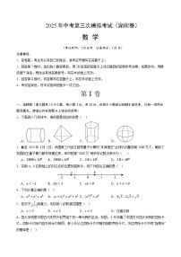 2025年中考数学第三次模拟考试卷：数学（湖南卷）（考试版）