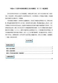 2025年中考数学专项复习专题04 三角形中的倒角模型之高分线模型、双（三）垂直模型解读与提分精练（全国通用）（解析版）