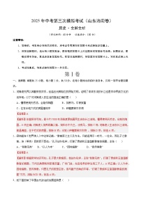 2025年中考数学第三次模拟考试卷：历史（济南卷）（解析版）