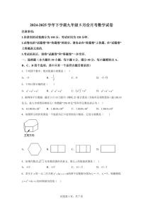 2024-2025学年安徽省合肥市下学期九年级5月份月考数学试卷