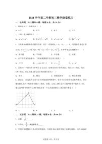 2024-2025学年上海市下学期九年级5月份月考数学试卷