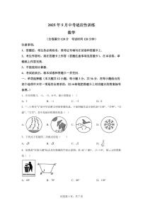2025届广西壮族自治区百色市中考（二模）数学试题