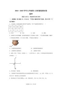 2025届河南省洛阳市新安县九年级下学期第三次联考数学试题试卷