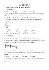 安徽省合肥一六八中学2025届中考三模 数学试卷