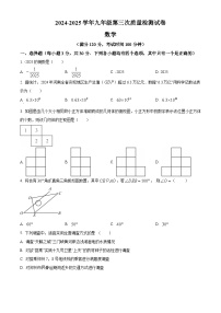 河南省南阳市2025届九年级下学期第三次联考 数学试题试卷