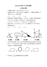 河南省实验中学2025届中考三模 数学试题