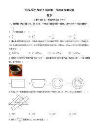 河南省平顶山市2025届九年级下学期第三次联考 数学试卷