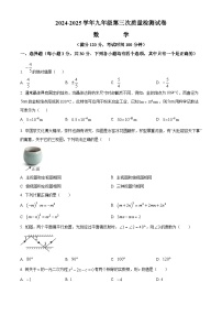 河南省郑州市二七区2025届九年级下学期第三次联考 数学试题试卷