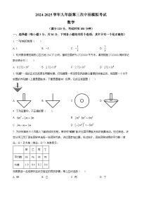 河南省郑州市郑东新区2025届九年级下学期第三次联考 数学试题试卷