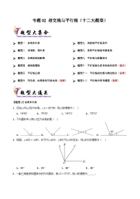 专题02 相交线与平行线（十二大题型）-2024-2025学年七年级数学下学期期末专题复习试题（北师大版2024）（含答案）