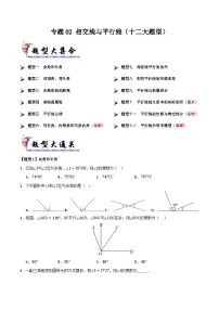 专题02 相交线与平行线（十二大题型）-2024-2025学年七年级数学下学期期末专题复习试题（北师大版2024）（含答案）