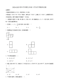 安徽省合肥市第四十二中学湖畔分校2024-2025学年下学期九年级5月月考 数学试卷