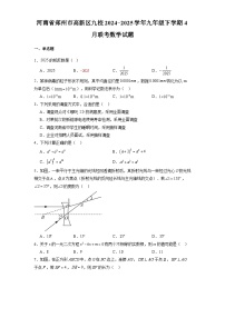 河南省郑州市高新区九校2024-2025学年九年级下学期4月联考 数学试题（含解析）