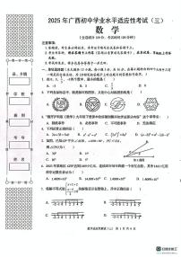 2025年广西壮族自治区贺州市昭平县中考三模数学试题（中考模拟）
