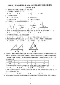 2025年湖南省长沙市湖南师大附中中考三模数学试题（中考模拟）