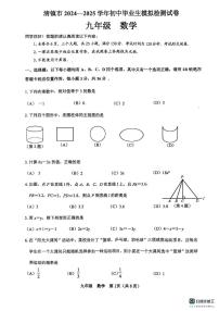 贵州省清镇市2024一2025学年初中毕业生模拟检测试卷 九年级 数学（中考模拟）