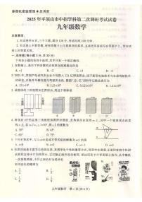 河南省平顶山市2025年中招考试第二次模拟考试试卷数学（中考模拟）