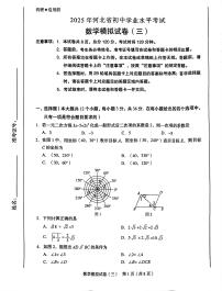 河北省邢台市内丘县2024-2025学年九年级下学期中考模拟预测数学试题（中考模拟）