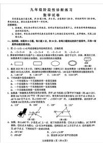 吉林省长春市新区2024-2025学年下学期九年级中考二模数学试题（中考模拟）