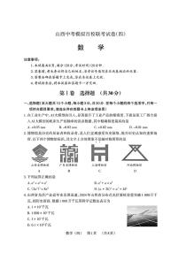 山西省运城市百校2025年中考九年级模拟 联考数学试卷（中考模拟）