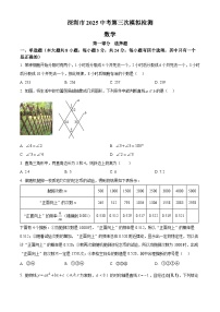 2025年广东省深圳市福田外国语学校中考数学第三次模拟检测卷（中考模拟）