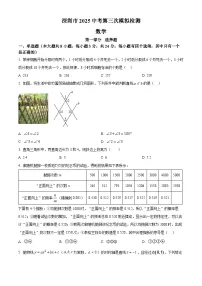 2025年广东省深圳市福田外国语学校中考数学第三次模拟检测卷（中考模拟）