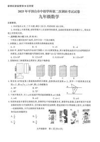 河南省平顶山市2025年中招考试第二次模拟考试数学试卷（中考模拟）