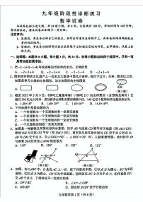 吉林省长春市新区2024-2025学年下学期九年级中考二模数学试题（中考模拟）