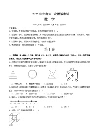 2025年中考数学第三次模拟考试卷：数学（青岛卷）（考试版）