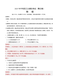 2025年中考数学第三次模拟考试卷：物理（青岛卷）（解析版）