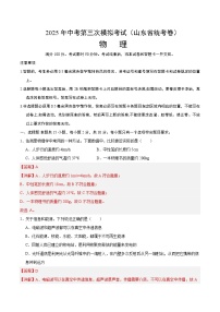 2025年中考数学第三次模拟考试卷：物理（山东省统考）（解析版）