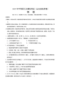 2025年中考数学第三次模拟考试卷：物理（山东省统考）（考试版）