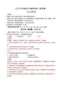 2025年中考数学第三次模拟考试卷：化学（陕西卷）（解析版）