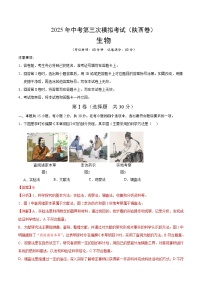 2025年中考数学第三次模拟考试卷：生物（陕西卷）（解析版）