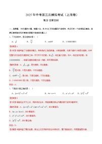 2025年中考数学第三次模拟考试卷：数学（上海卷）（解析版）