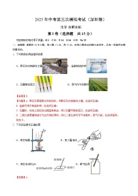 2025年中考数学第三次模拟考试卷：化学（深圳卷）（解析版）