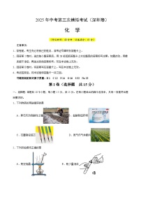 2025年中考数学第三次模拟考试卷：化学（深圳卷）（考试版）