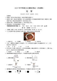 2025年中考数学第三次模拟考试卷：化学（天津卷）（考试版）