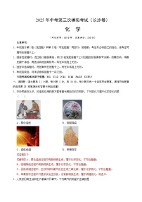 2025年中考数学第三次模拟考试卷：化学（长沙卷）（解析版）