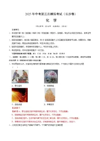 2025年中考数学第三次模拟考试卷：化学（长沙卷）（解析版）